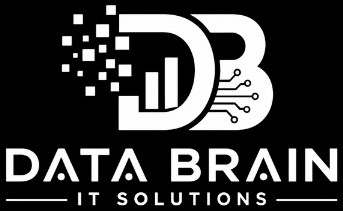 DataBrain IT Solutions